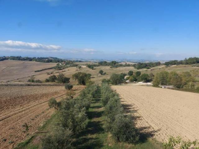 Casa indipendente in vendita a Senigallia
