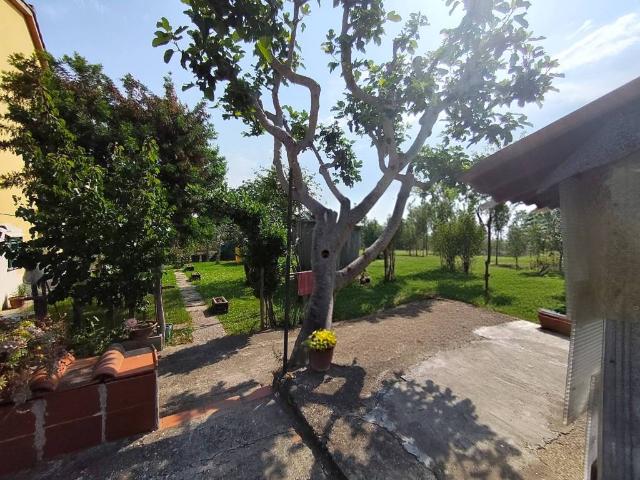 Casa indipendente in vendita a Signa FI