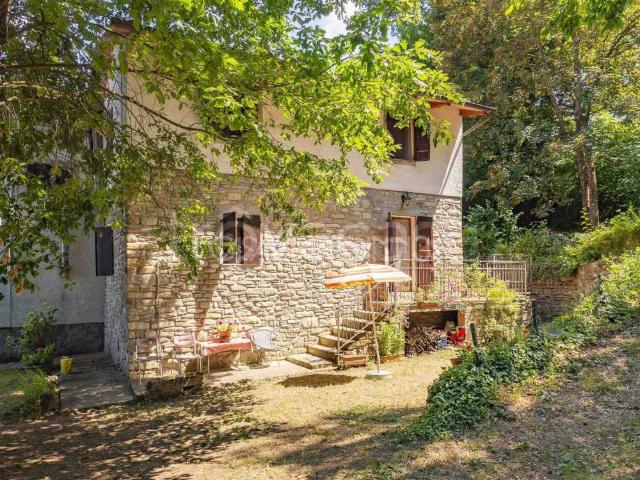 Casa indipendente in vendita a Polinago