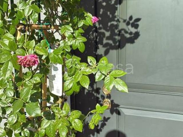 Casa indipendente in vendita a Padova via Giovanni Augurello, 5, Crocifisso Ponte Quattro Martiri