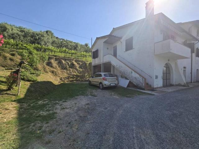 Casa indipendente in vendita a Palaia PI