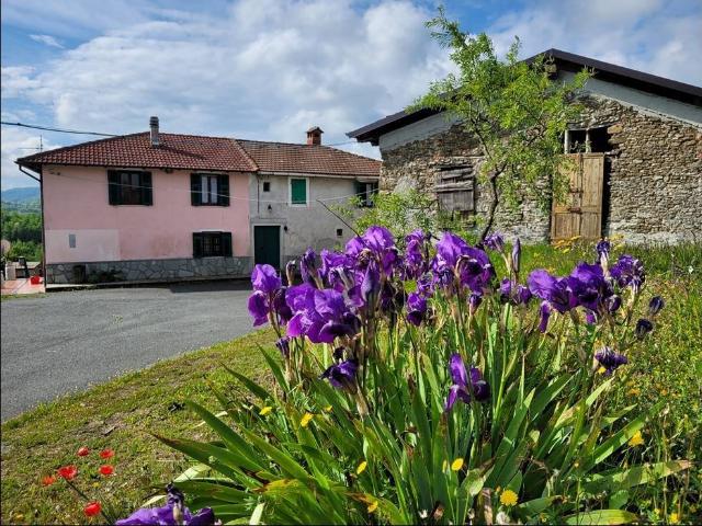 Casa indipendente in vendita a Pareto AL