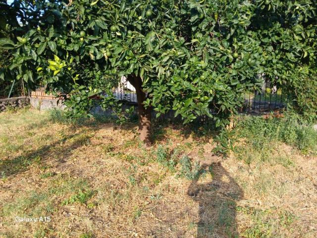 Casa indipendente in vendita a Piedimonte Etneo CT