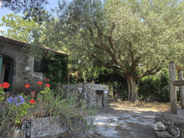 Casa indipendente in vendita a Piedimonte Etneo CT