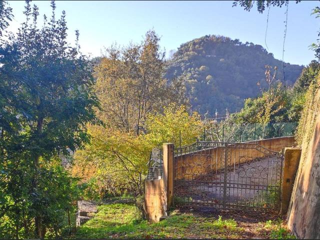 Casa indipendente in vendita a Pietrasanta
