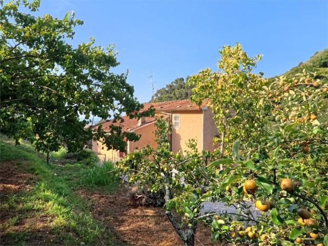 Casa indipendente in vendita a Pietrasanta LU