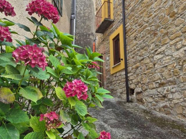 Casa indipendente in vendita a Prignano Cilento SA
