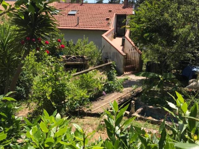 Casa indipendente in vendita a Rosignano Marittimo LI