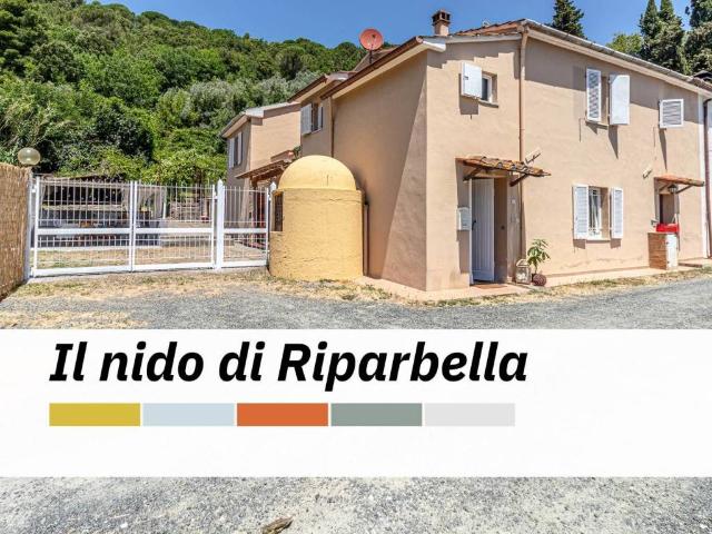 Casa indipendente in vendita a Riparbella PI