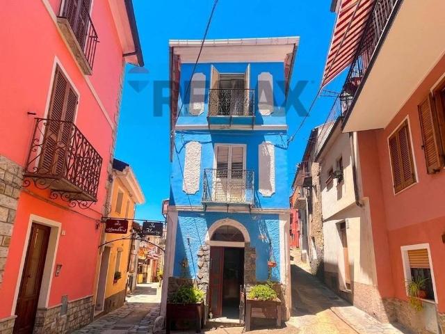 Casa indipendente in vendita a Tonara NU