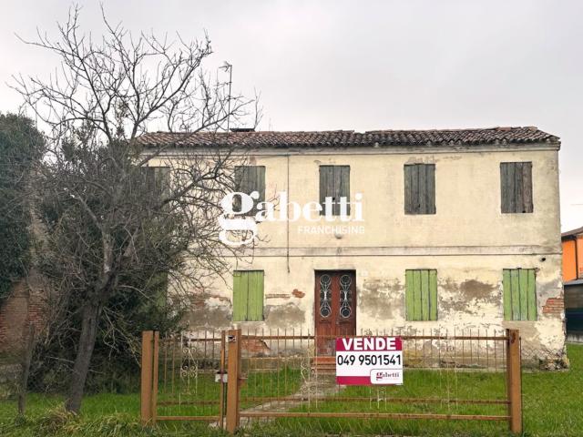 Casa indipendente in vendita a Terrassa Padovana