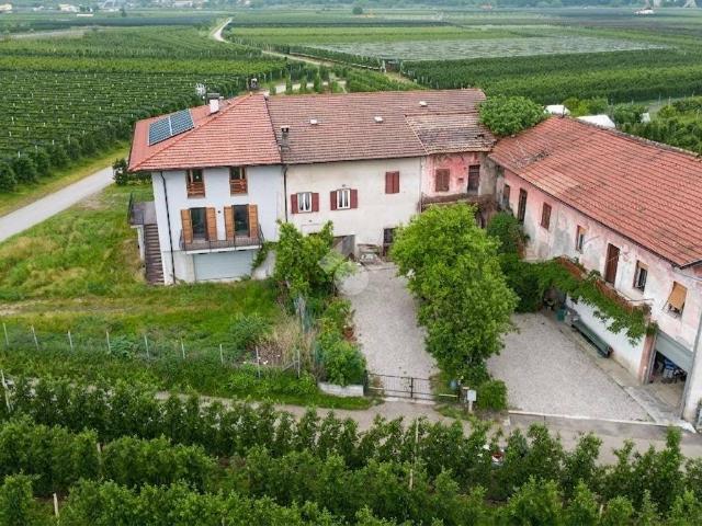 Casa indipendente in vendita a Terre d'Adige TN