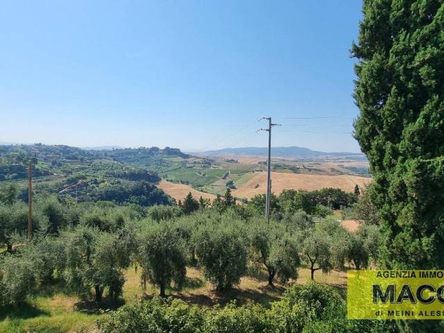 Casa indipendente in vendita a Terricciola PI