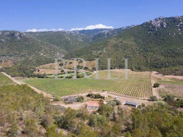 Casa indipendente in vendita a Trinità d'Agultu e Vignola