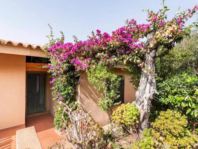 Casa indipendente in vendita a Trinità d'Agultu e Vignola OT