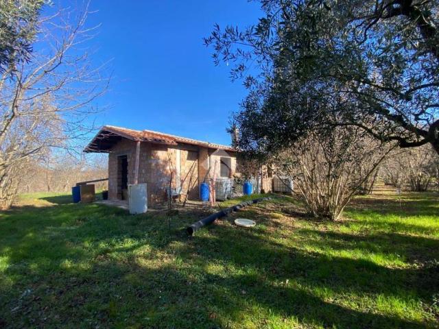 Casa indipendente in vendita a Vallerano VT