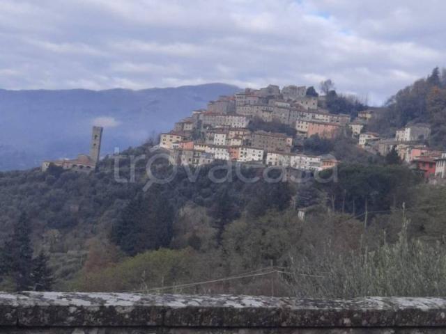 Casa indipendente in vendita a Vellano, Pescia