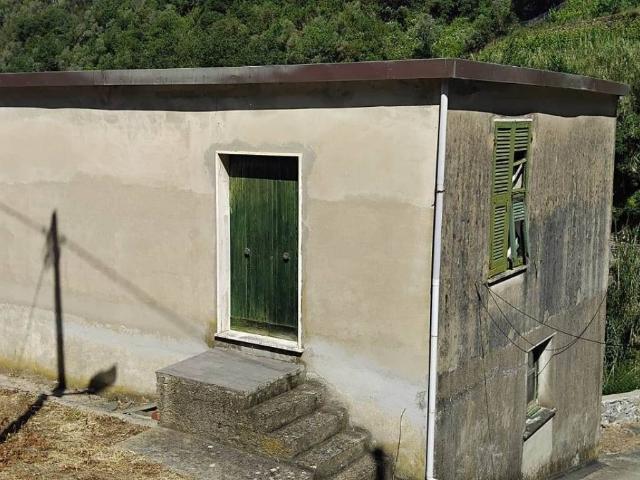 Casa indipendente in vendita a Vernazza SP