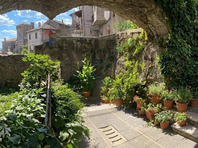 Casa indipendente in vendita a Vignanello VT