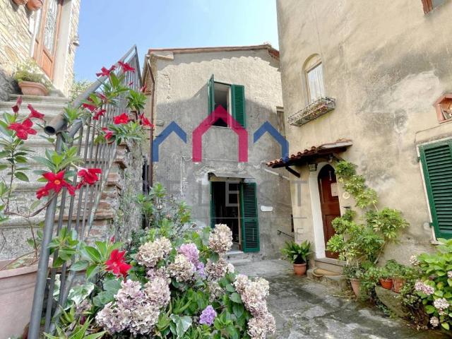 Casa indipendente in vendita a Villa Basilica LU