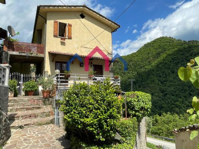 Casa indipendente in vendita a Villa Basilica LU