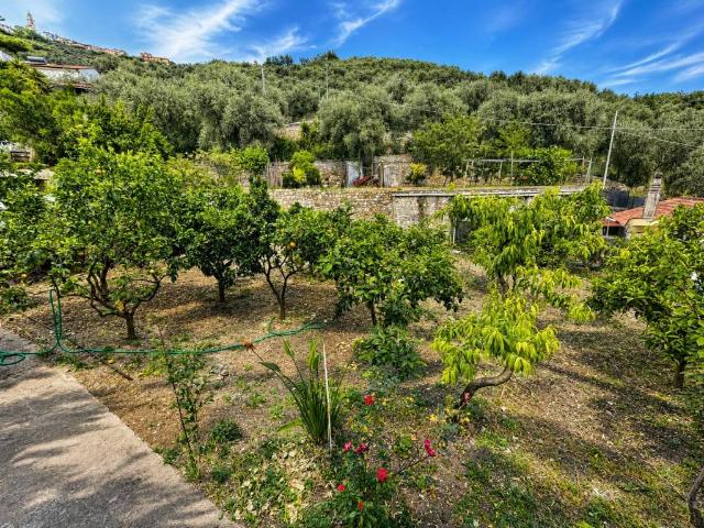 Casa indipendente in vendita a Villa Faraldi IM