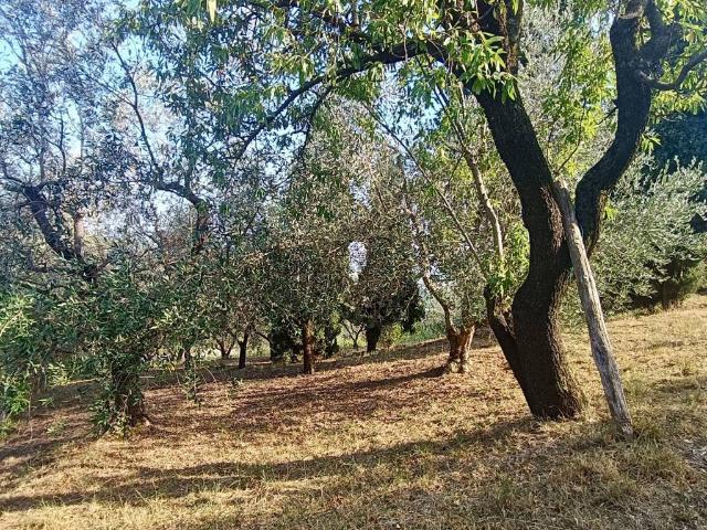 Casa indipendente in vendita a Villaga VI
