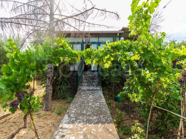 Casa indipendente in vendita a Zafferana Etnea via Sarro Civita, 32