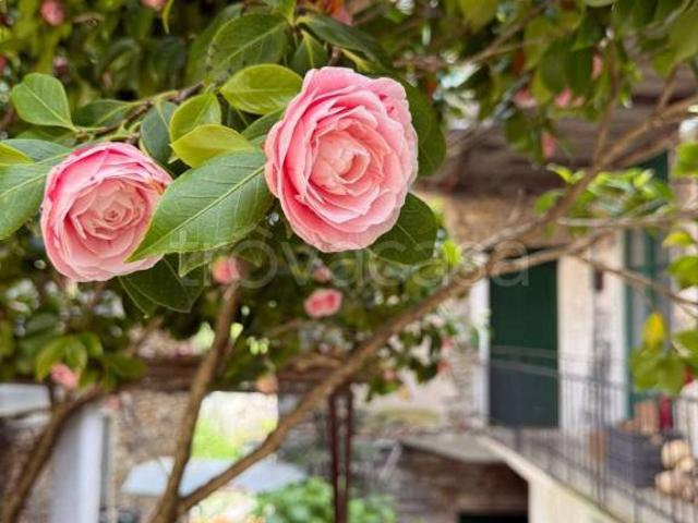 Casa indipendente in vendita ad Alto via Pieve di Teco