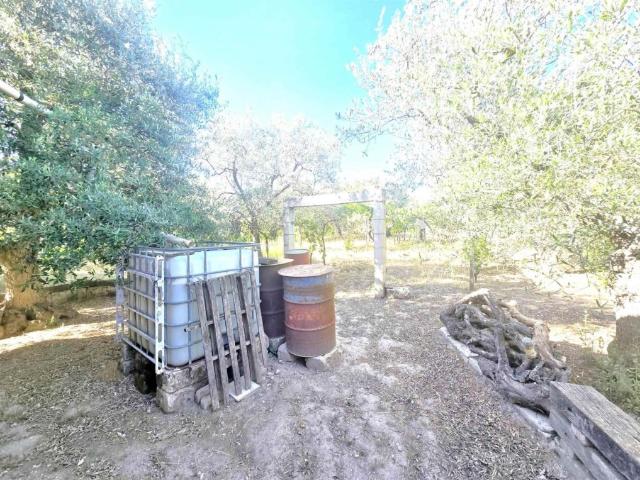 Casa indipendente in vendita ad Altamura