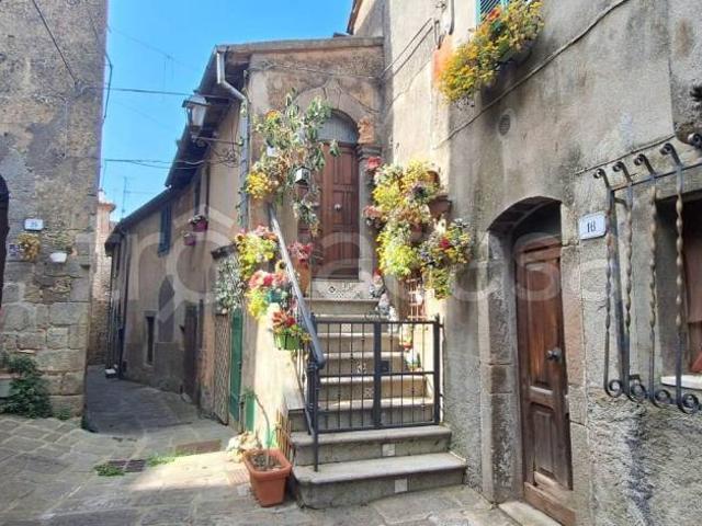 Casa indipendente in vendita ad Arcidosso via della Piazzetta, Montelaterone