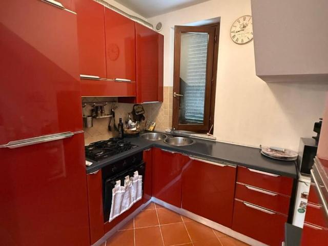 Casa indipendente in affitto a Capannori LU