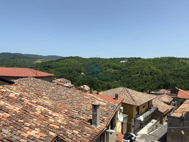 Casa indipendente in affitto a Carlopoli CZ