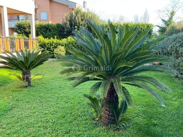 Casa indipendente in affitto a Anzio