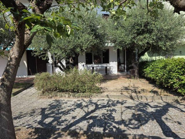 Casa Indipendente in affitto a Gabiano via San Pietro, arredato, giardino privato, posto auto TrovaCasa