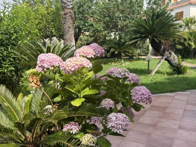 Casa indipendente in affitto a San Felice Circeo LT