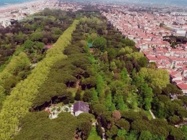 Casa Indipendente in affitto a Viareggio, giardino privato, terrazzo, riscaldamento autonomo TrovaCasa