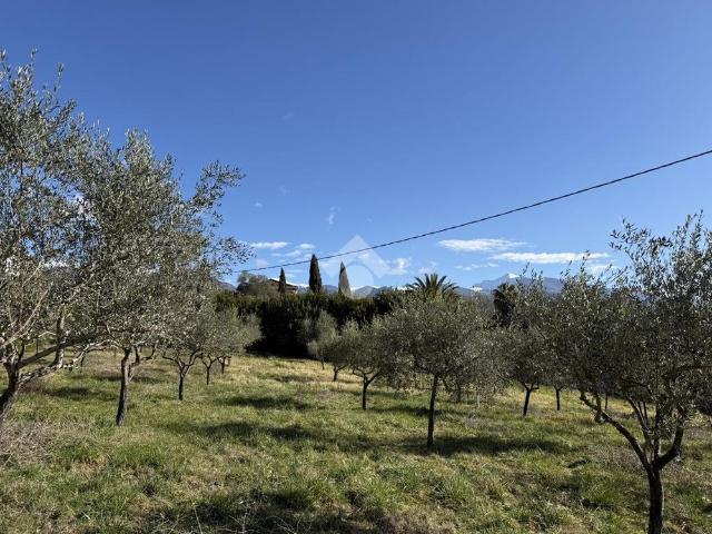 Casa indipendente in affitto