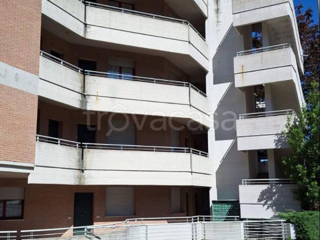 Casa Indipendente in in affitto da privato a Urbino via Guido da Montefeltro, 47, posto auto, da privato, vista panoramica TrovaCasa