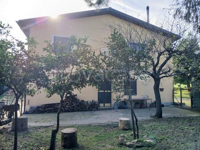 Casa Indipendente in in affitto da privato a Francavilla Marittima via Nazionale, 55, da privato, buono stato, cucina abitabile TrovaCasa