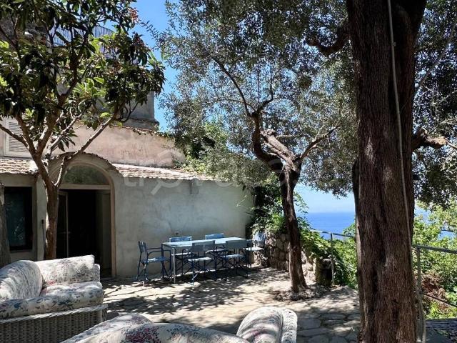 Casa Indipendente in in affitto da privato a Massa Lubrense via Baccoli, 14, giardino, da privato TrovaCasa