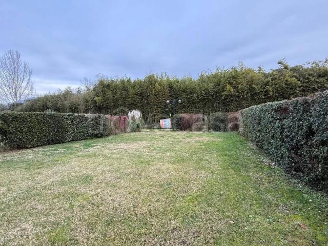 Casa Indipendente in in affitto da privato a Montignoso via della Croce, 97, giardino, da privato TrovaCasa