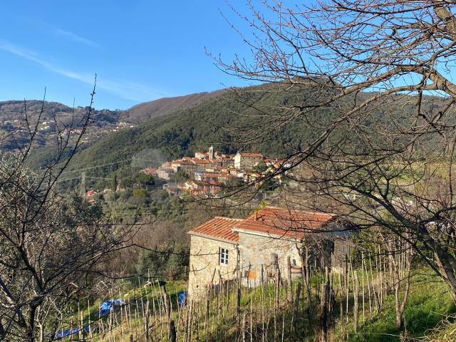 Casa indipendente ristrutturata in via vallacara 3, Fosdinovo