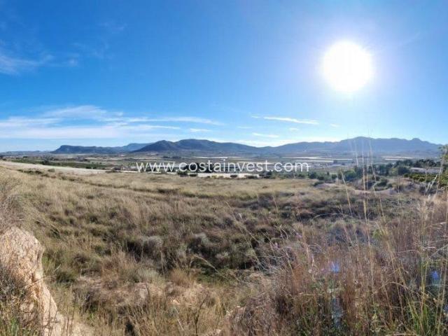 Casa La Romana Costa Blanca 99036118