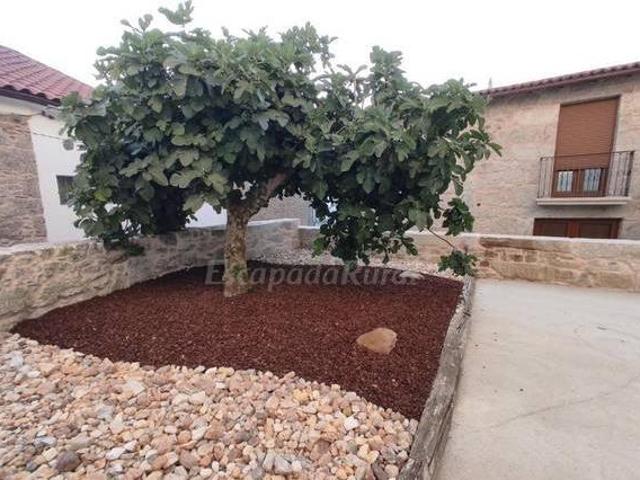 Casa Lagarto