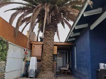 Casa Las Heras, sector Alameda, Villa Los Pimientos | 3 Dormitorios por 200000. 00 en Copiapó