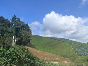 Casa Lomas de Tarango Reacomodo