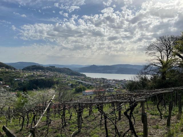 CASA PARA REFORMAR CON MIL METROS FINCA Y VISTAS A LA RÍA