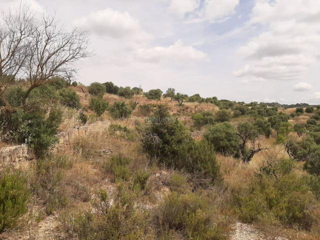 Casa pareada en venta en Cervià de les Garrigues. Casas pareadas Cervià de les.