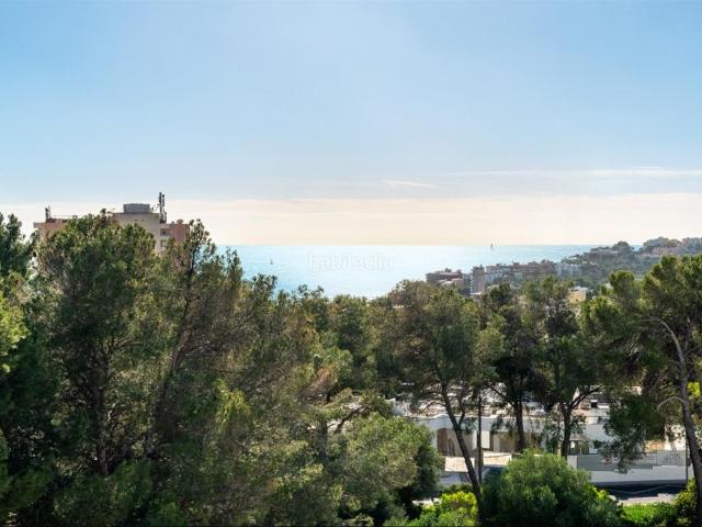 Casa pareada en venta en Baleares Palma de Mallorca, Sant Agustí. Adosado con mucho encanto en venta en San Agustin, Mallorca. Casas pareadas Palma de.